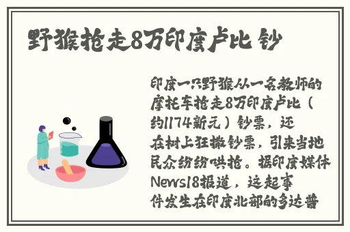 白石茉莉奈种子